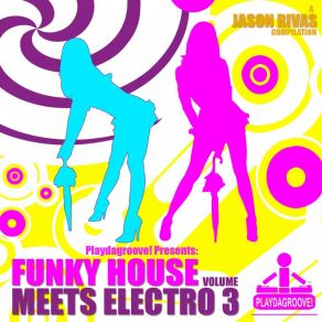 Funky House Meets Electro (Volume 3) album cover