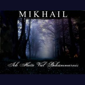 Ich Hatte Viel Bekümmernis album cover