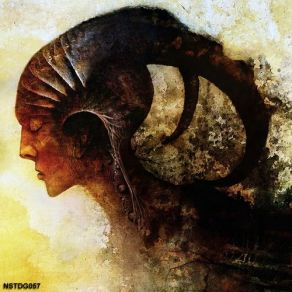 Synthetical Objects album cover
