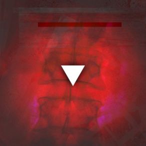 Anatomy In Suspension album cover