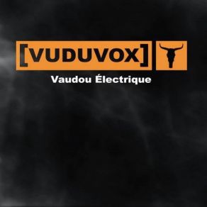 Vaudou Electrique album cover