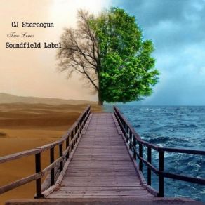 Two Lives album cover
