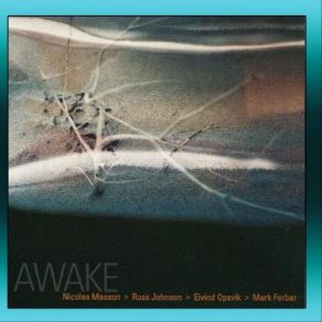 Awake album cover
