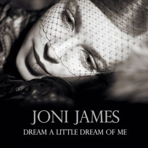 Dream A Little Dream Of Me album cover