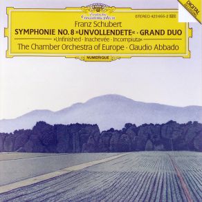 Schubert - Symphonie Nr. 8 Grand Duo album cover