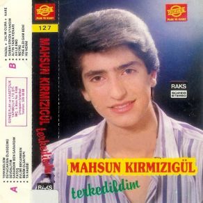 Terkedildim album cover