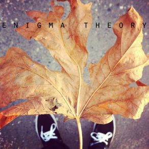 Enigma Theory album cover