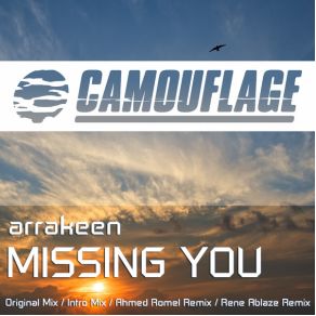 Missing You (Soundtrack) album cover