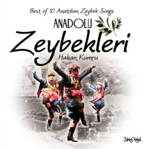 Anadolu Zeybekleri album cover