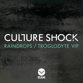 Raindrops / Troglodyte VIP album cover