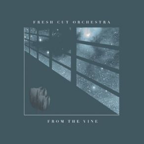 From The Vine album cover