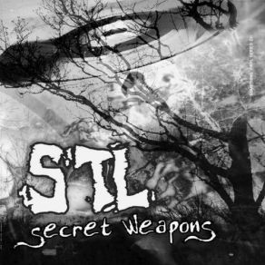 Secret Weapons album cover