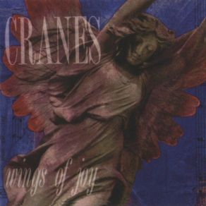 Wings Of Joy album cover