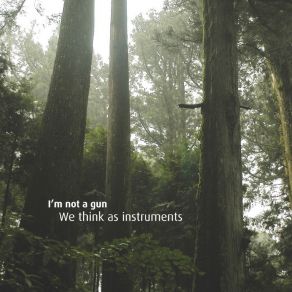 We Think As Instruments album cover