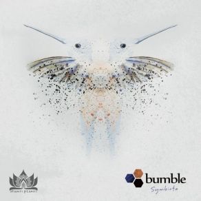 Symbiota album cover