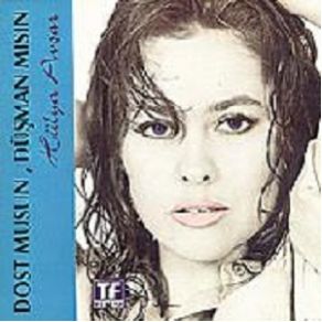 Dostmusun Düşmanmısın album cover