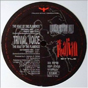 The Beat Of The Flamenco Maxi album cover