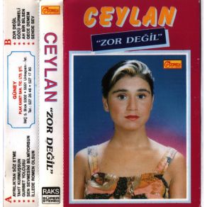 Zor Değil album cover