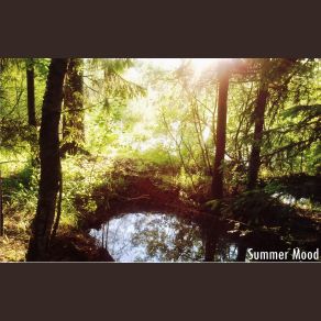 Summer Mood album cover