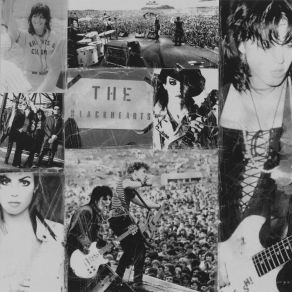 Collection. Fit To Be Tied album cover
