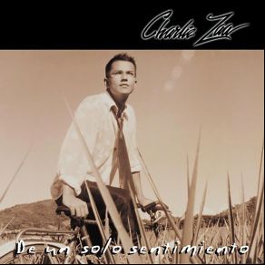 De Un Solo Sentimiento album cover