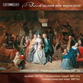 Bach - Secular Cantatas, Vol. 3 album cover