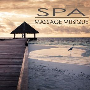 Spa Musique Massage - Musique Relaxante New Age Et Chillout Pour Detente Et Bien-Etre album cover