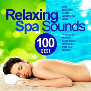 Best 100 Relaxing Spa Sounds (CD2) album cover