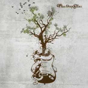 Acoustic Wood Insight album cover