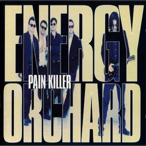 Pain Killer (Energy Orchard) album cover