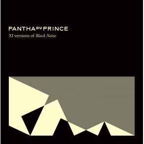 XI Versions Of Black Noise album cover