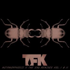 Metamorphosiz II The End Remixes Vol. I & II album cover