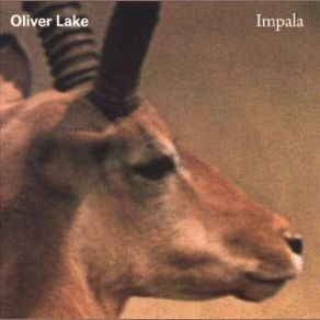 Impala album cover