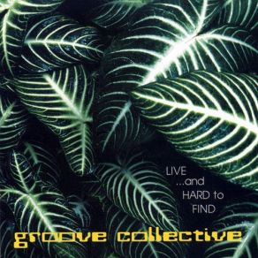 Live... And Hard To Find album cover
