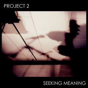 Seeking Meaning album cover