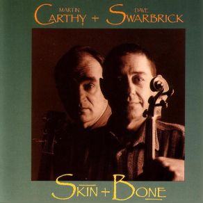 Skin + Bone album cover