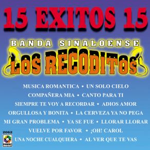 15 Exitos: Banda Sinaloense Los Recoditos album cover