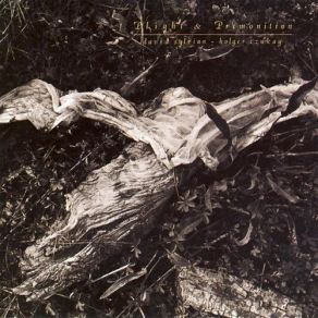 Plight & Premonition album cover