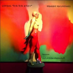 Bye Bye Ziggy album cover