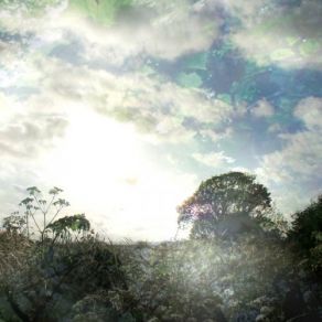 Spring Light album cover