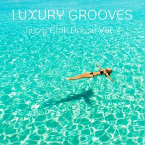 Jazzy Chill House, Vol. 4 album cover