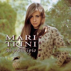 Al Principo album cover