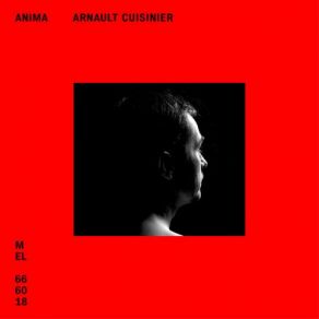 Anima album cover