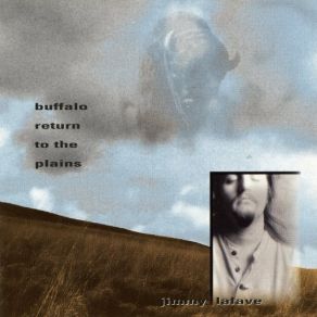Buffalo Returns To The Plains album cover