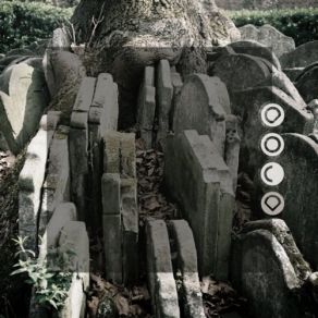 Autumn Of Communion 5 album cover