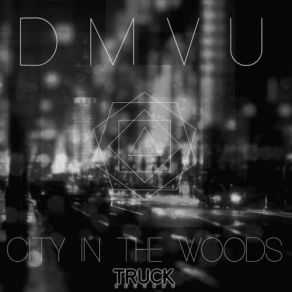 City In The Woods album cover