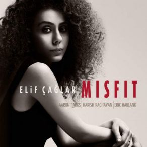 Misfit album cover