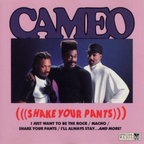 Shake Your Pants album cover