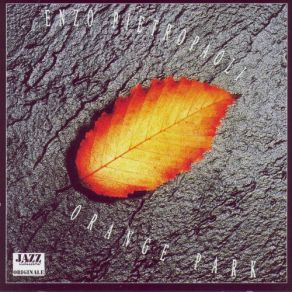Orange Park album cover