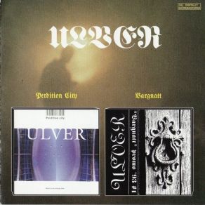 Perdition City / Vargnatt album cover
